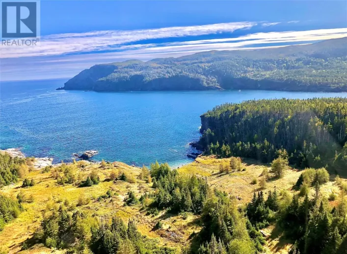 0 (B) FORT POINT Road, TRINITY