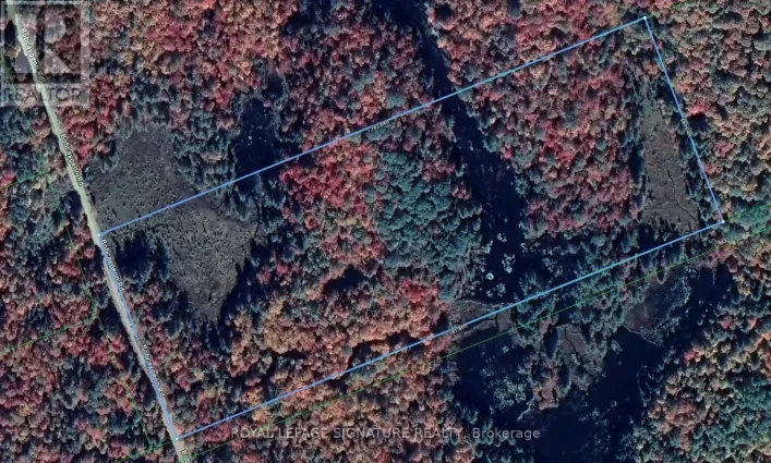 0 BOBCAYGEON ROAD, Minden Hills