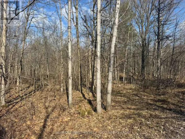 0 CALIFORNIA ROAD, Stone Mills