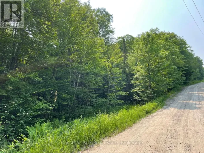 0 COLEMAN LAKE ROAD, Dysart et al