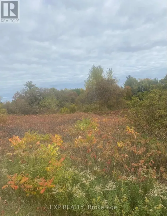 0 COUNTY ROAD 2 ROAD, Cramahe