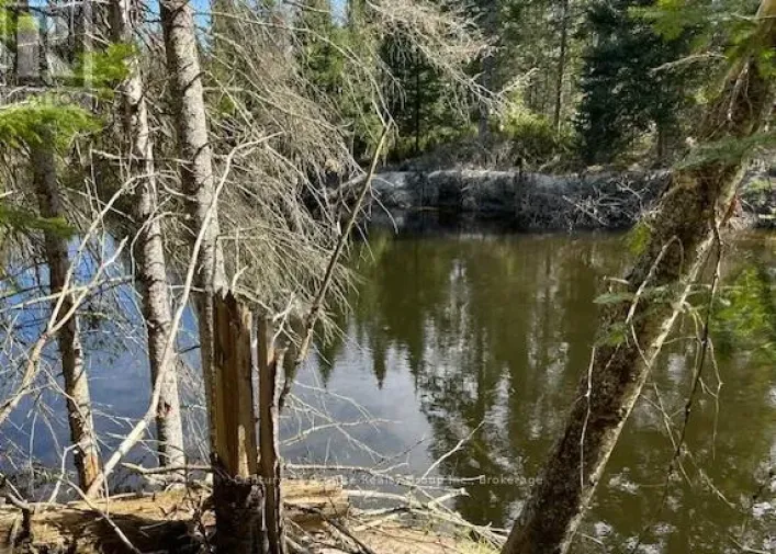 0 COUNTY ROAD 503, Minden Hills