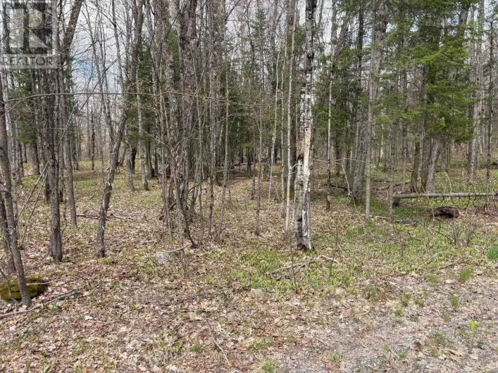 0 DAUNCEY ROAD, Magnetawan