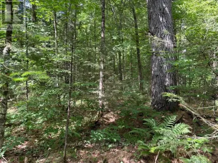 0 FOREST LAKE ROAD, Joly