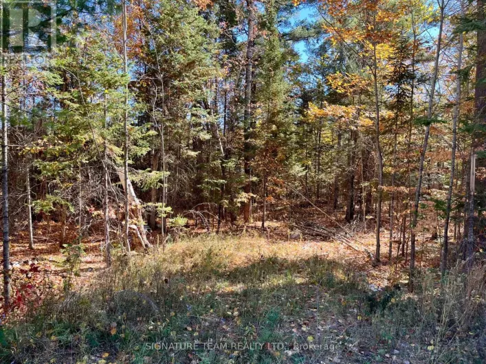 0 FOYMOUNT ROAD, Bonnechere Valley