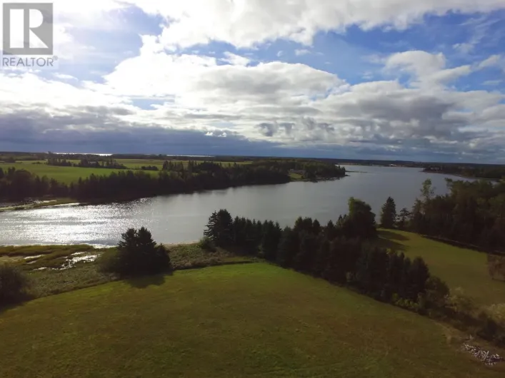 0 Geneva King, Brooklyn