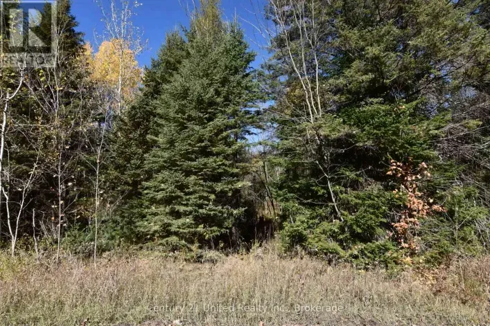 0 HIGHWAY 620, Wollaston