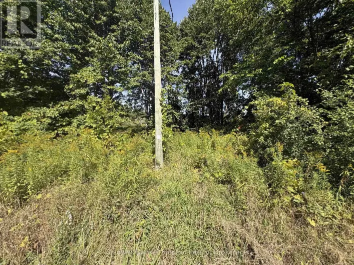 0 INGHAM ROAD (LOT 1 - WEST), Alnwick/Haldimand