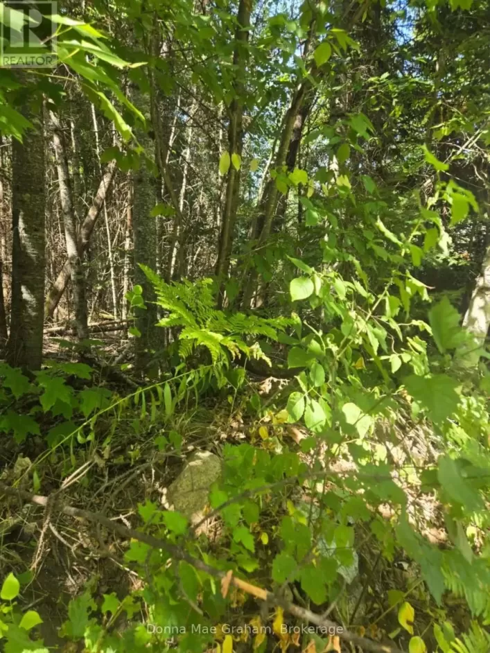 0 MACDUFF ROAD ACRES E, Highlands East