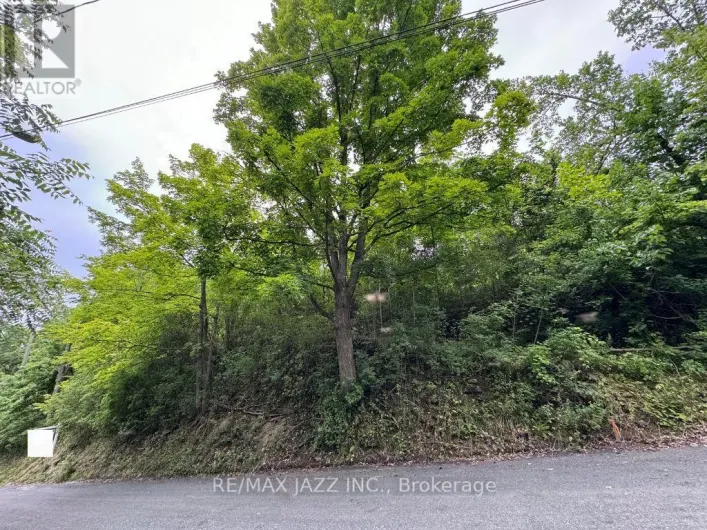 0 MAPLE STREET, Trent Hills