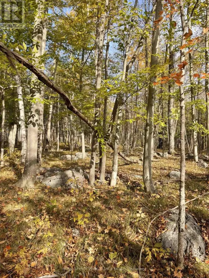 0 MARLBANK RD, Tweed)