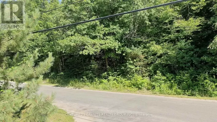 0 MAXWELL SETTLEMENT ROAD, Bancroft