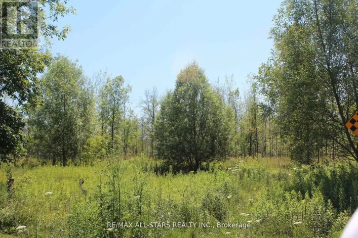 0 METRO ROAD, Georgina