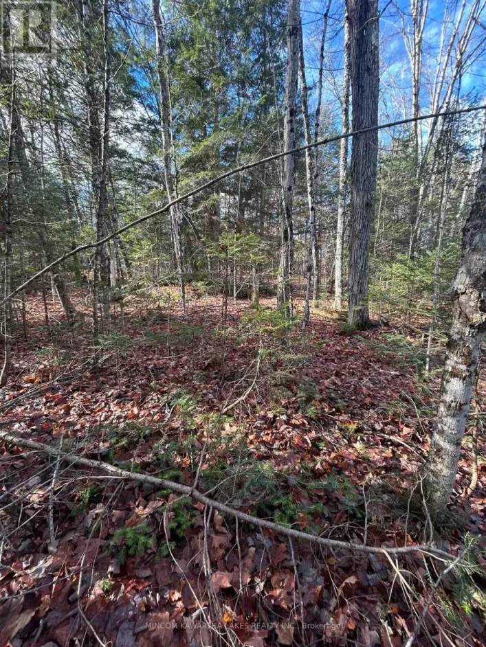 0 MILL LAKE ROAD, North Kawartha