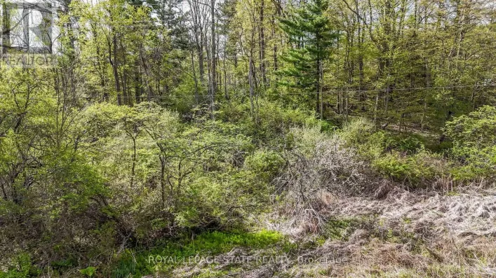 0 MINERAL SPRINGS ROAD, Hamilton