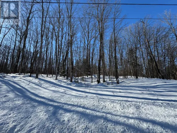 0 N BELMONT CONC 10, Havelock-Belmont-Methuen