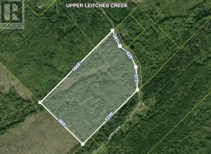 0 No Lyles Lane, Upper Leitches Creek