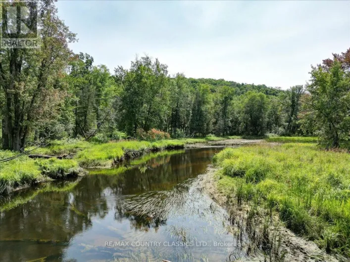 0 NORTH RUSAW ROAD, North Kawartha
