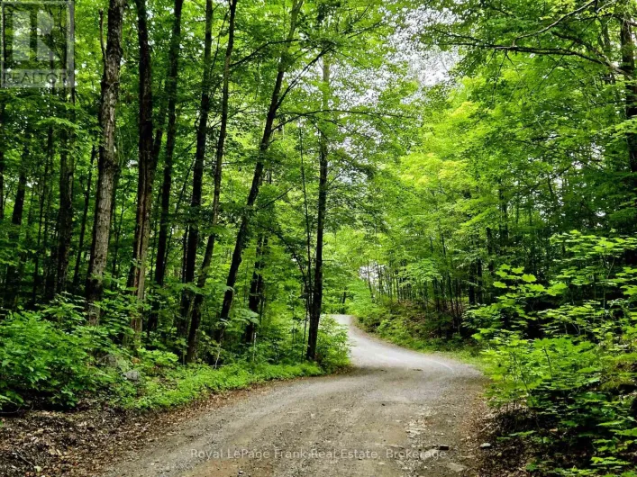 0 NORTH RUSAW ROAD, North Kawartha