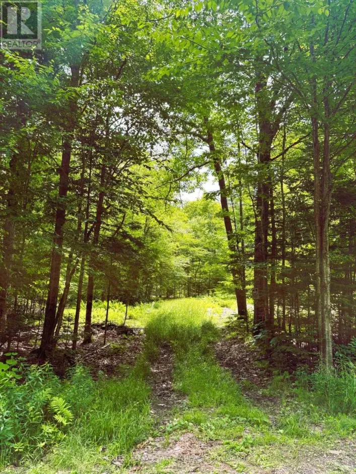 0 PEPLINSKIE ROAD, Madawaska Valley