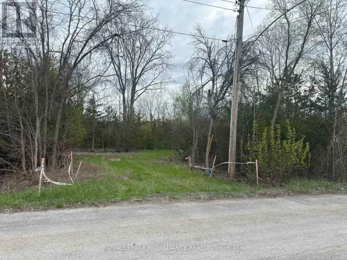 0 PETERSON STREET, Quinte West