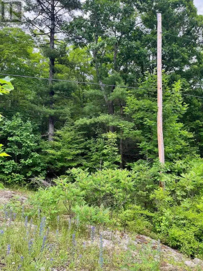 0 (PIN - 40264-0091) POTTER SETTLEMENT ROAD, Tweed)