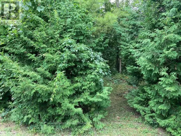 0 PINECREST ROAD, Georgina