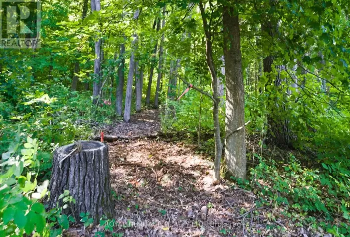 0 PINEWOOD SCHOOL ROAD, Cramahe