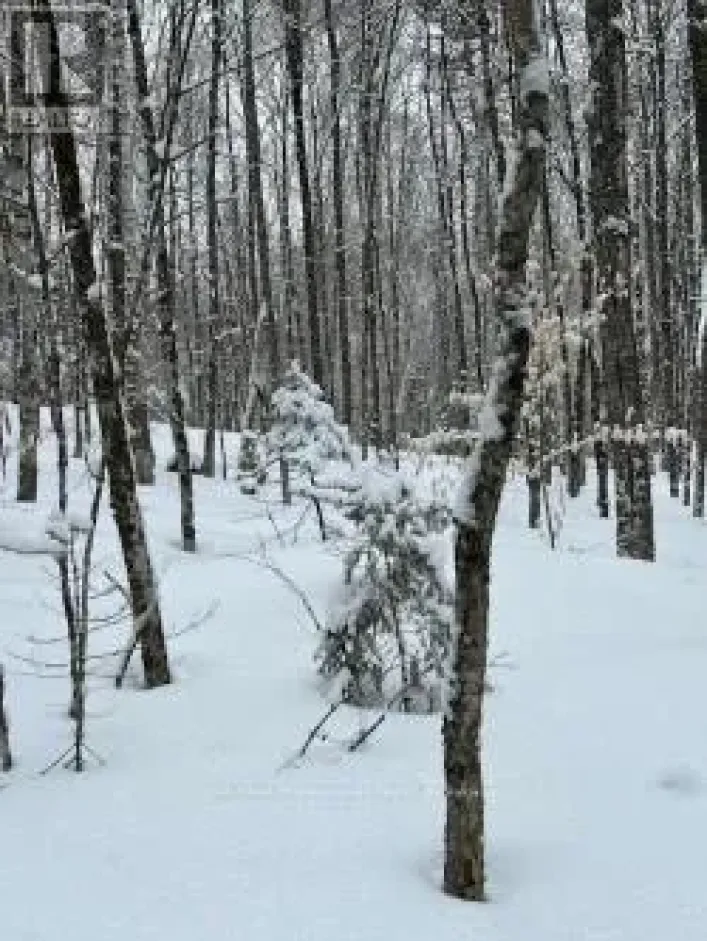 0 PROVIDENCE DRIVE, Algonquin Highlands