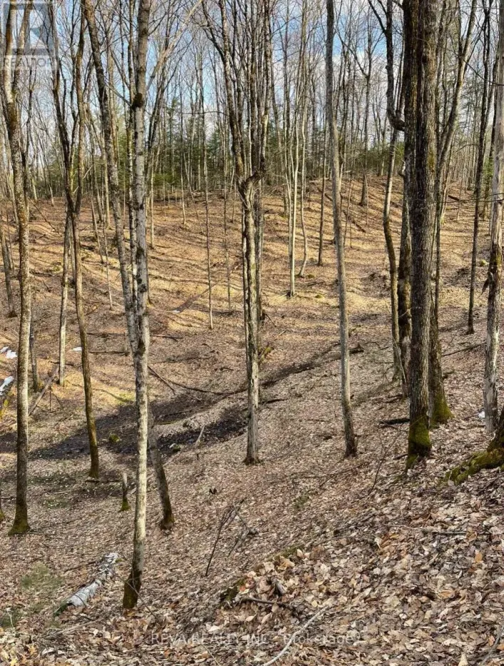 0 RALLISON LANE, Faraday