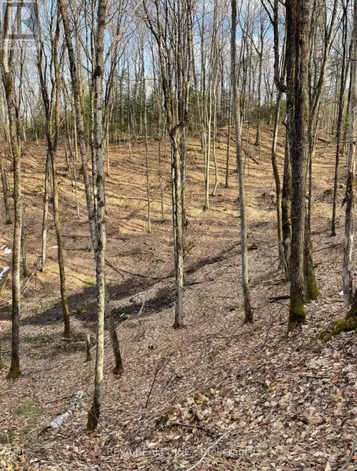 0 RALLISON ROAD, Faraday