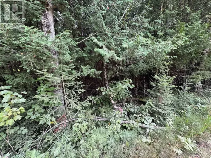 0 SCHIMMENS ROAD, Brudenell, Lyndoch and Raglan