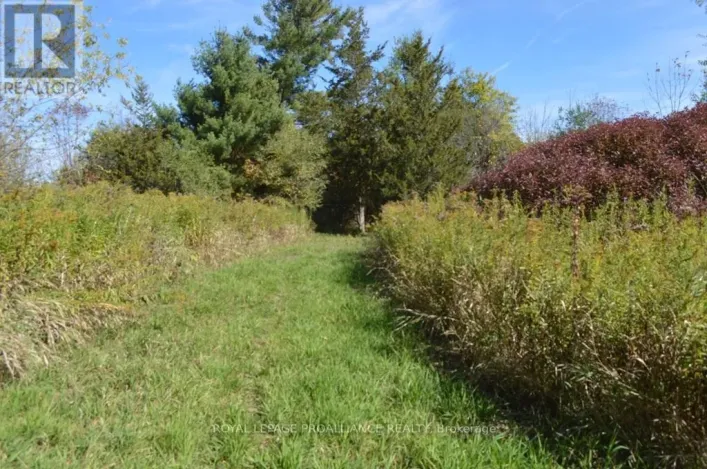 0 SCRIVER ROAD, Brighton