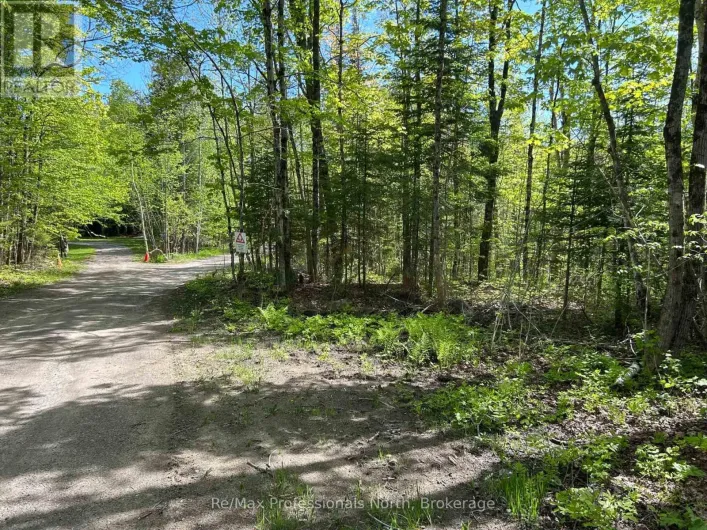 0 SHARON LAKE DRIVE, Minden Hills