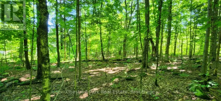 0 SKYLINE DRIVE, Armour