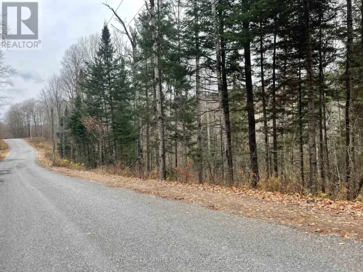 0 SNOW ROAD, Bancroft