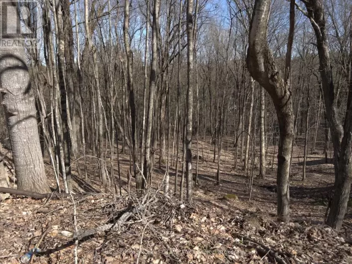 0 SOUTH MUSKOKA DRIVE, Bracebridge