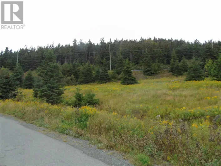 0 Southside Lance Cove Road, Bell Island