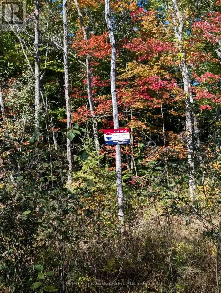 0 SUGAR LAKE ROAD, Seguin