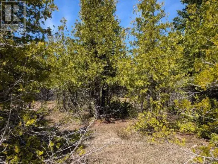 0 SUTTER ROAD, Northern Bruce Peninsula