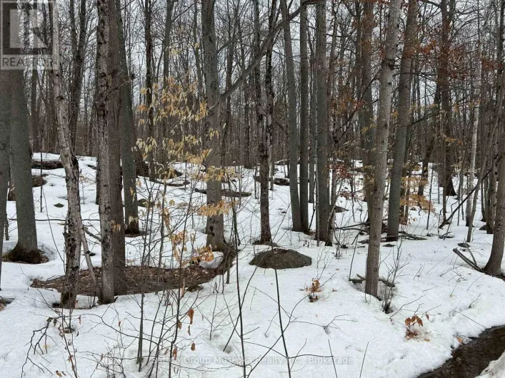 0 TALLY HO WINTER PARK ROAD, Lake of Bays