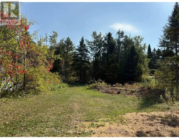 0 THE AVENUE, Kawartha Lakes