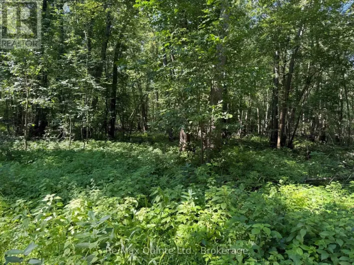 0 TRILLIUM LANE, Tweed)