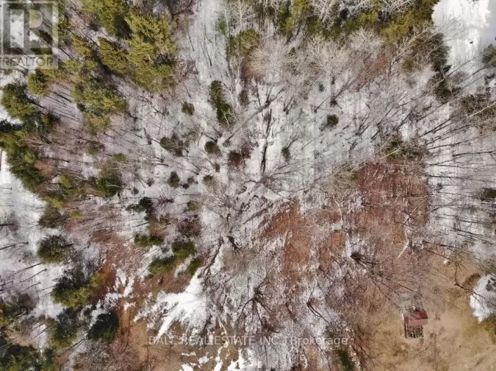 0 UNOPENED ROAD ALLOWANCE, Faraday