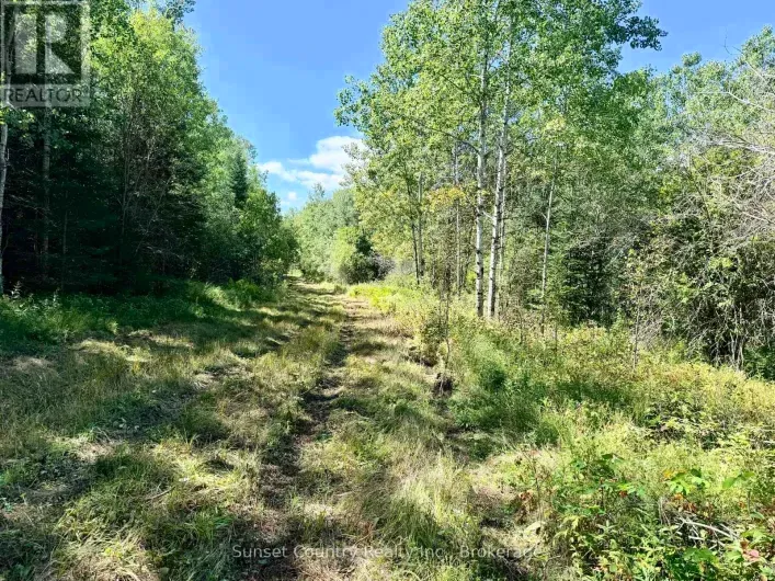 0 WALL STREET W, Kenora Remote Area