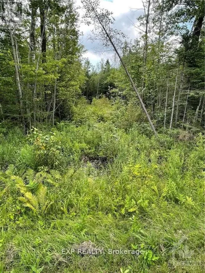 00 A1 CONCESSION ROAD 4 ROAD, Alfred and Plantagenet