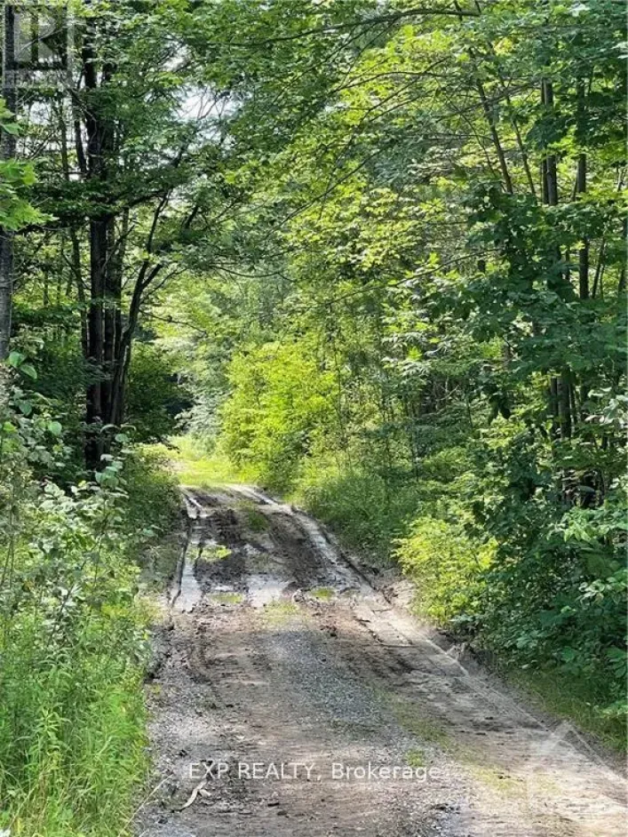 00 B CONCESSION ROAD 4 ROAD, Alfred and Plantagenet