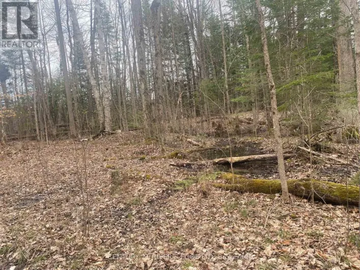 00 COUNTY RD 44 ROAD, Edwardsburgh/Cardinal