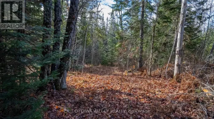 00 HIGHWAY 60 HIGHWAY, Madawaska Valley