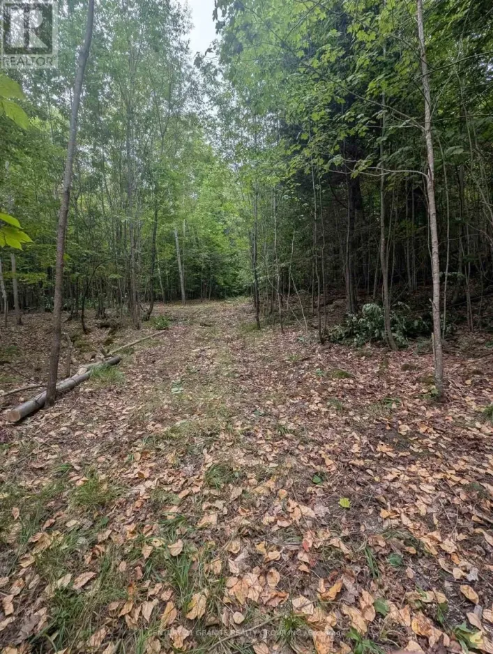 00 KAMANISKEG LAKE ROAD, Hastings Highlands